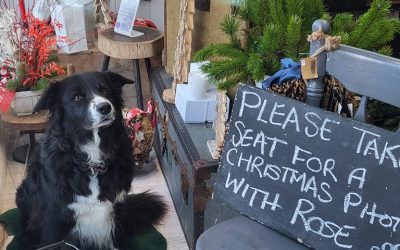 Causeway Coast Dog Rescue charity develops partnerships with local businesses as a member of local Chamber