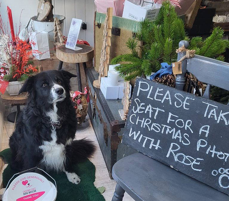 Causeway Coast Dog Rescue charity develops partnerships with local businesses as a member of local Chamber