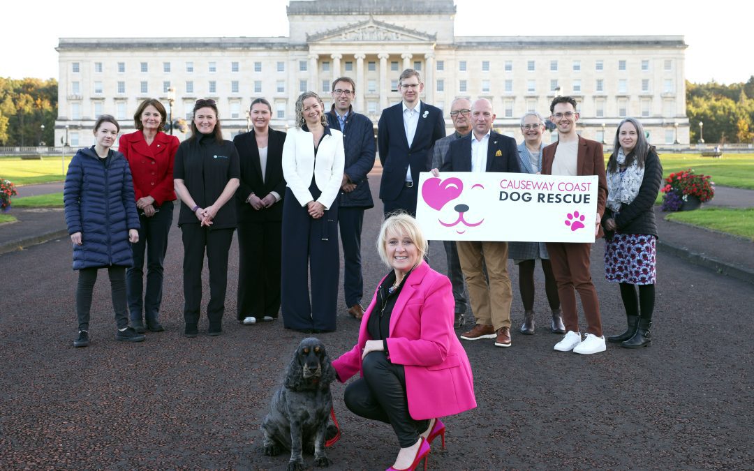 Causeway Coast Dog Rescue Announces Annual Animal Welfare Conference at Queen’s University Belfast